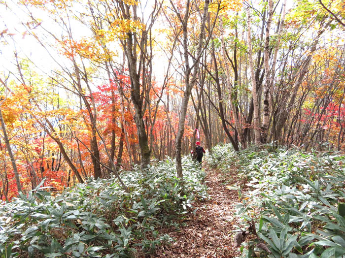 photo15赤い世界に入っていく：虫倉山