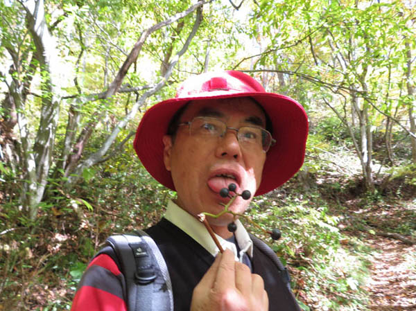 photo6ヤマブドウ：虫倉山