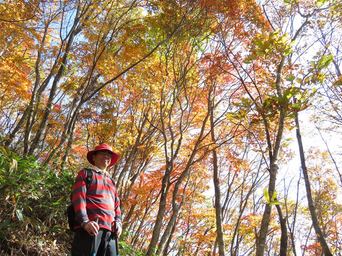 photo7錦に染まる登山道：虫倉山