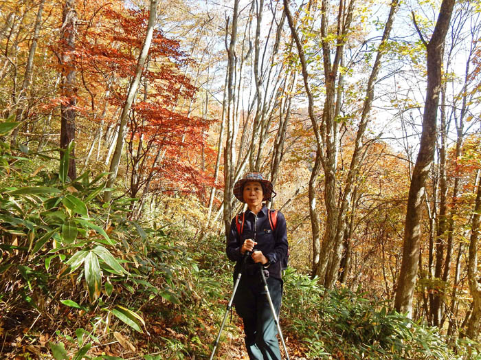 photo8彩り豊かな登山道：虫倉山