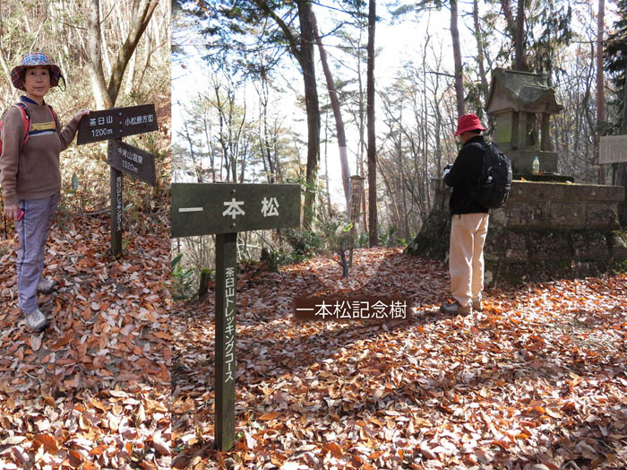 photo12一本松の峠で