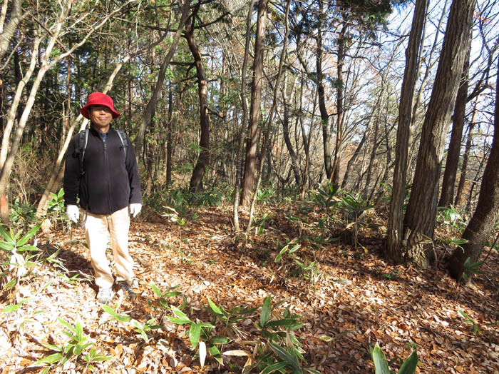 photo14この辺が中尾山山頂かな