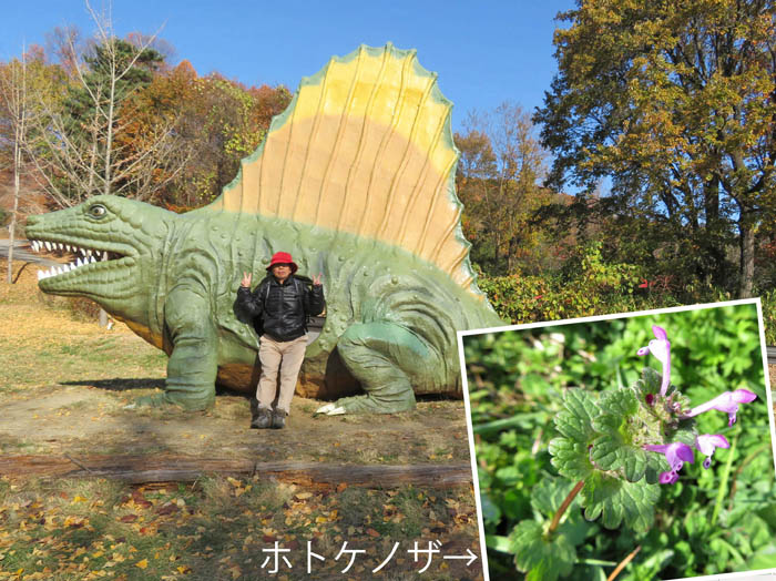 photo3恐竜公園から登る