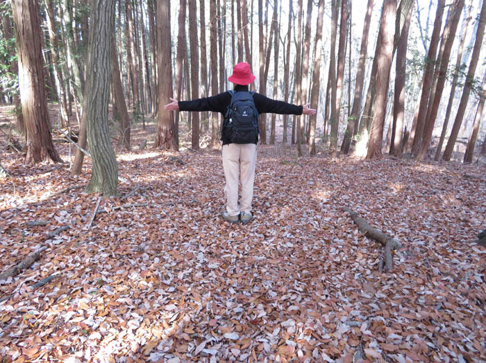 photo7一面の落ち葉
