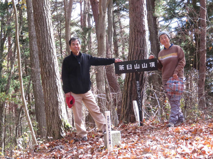 photo8茶臼山山頂は森の中