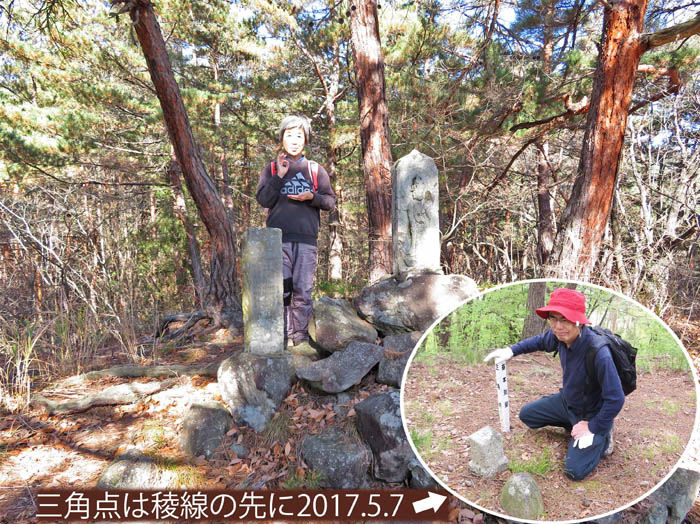photo3観音山山頂は森の中