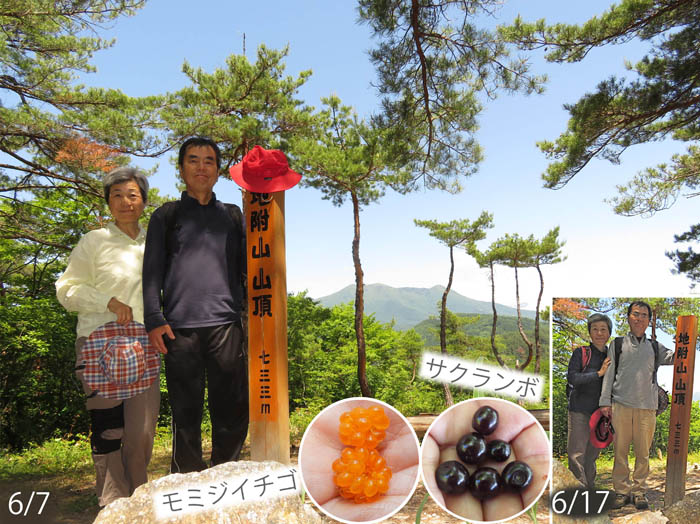 photo6山の恵みを食べながら：地附山
