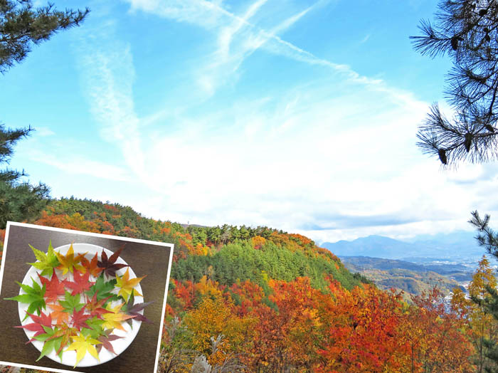 photo11紅葉の向こうに遠く高社山：地附山