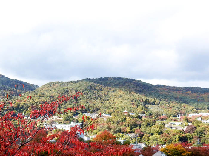 photo11城山公園から見る地附山