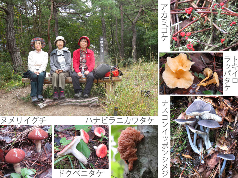 photo：晴れた山頂で：地附山