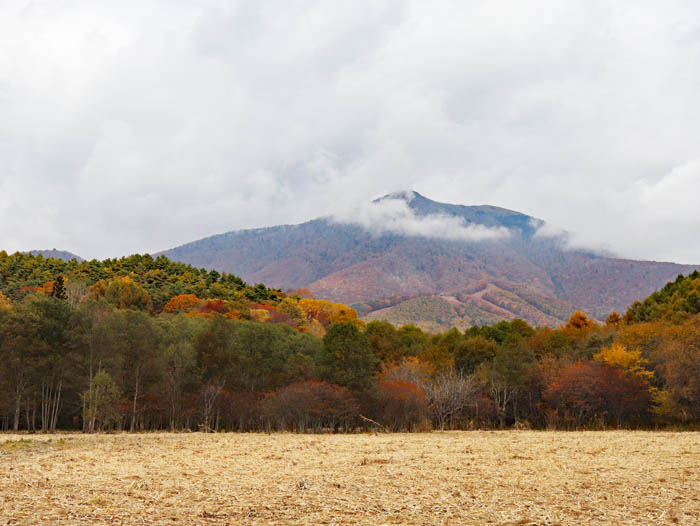 大谷地湿原と飯縄山