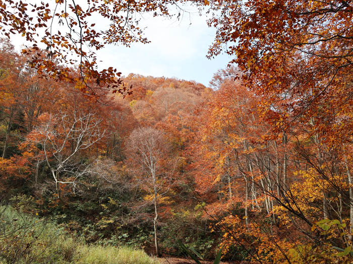 黒岩山