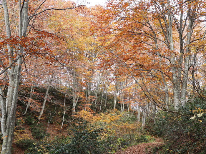 黒岩山