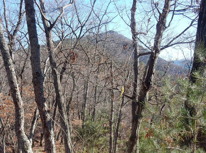 photo1舞鶴山から見るノロシ山