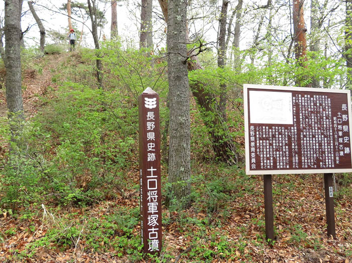 photo15土口将軍塚古墳