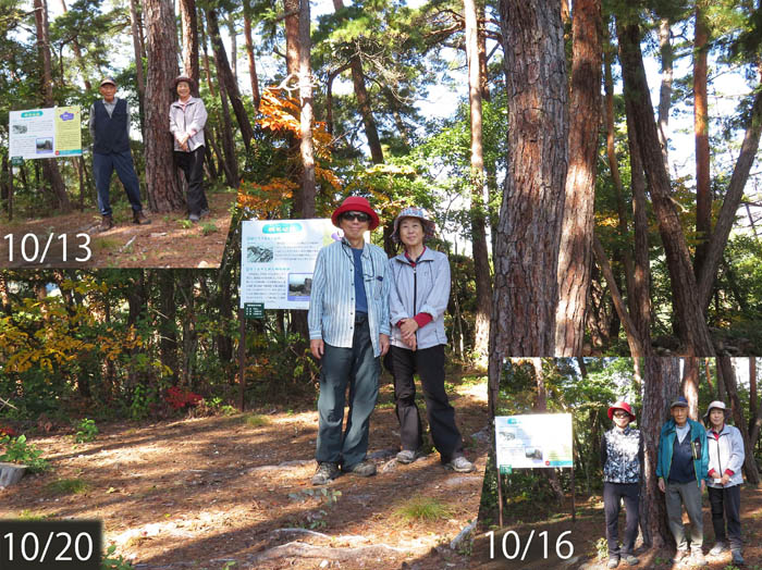 photo：見晴らしがない桝形城跡山頂：地附山