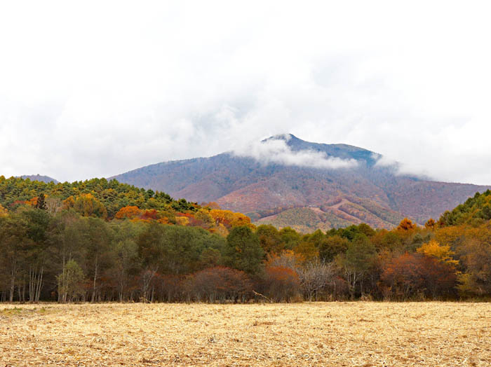 photo：大谷地湿原と飯縄山