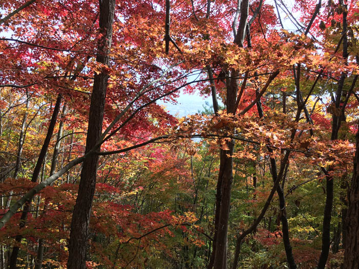 ：地附山