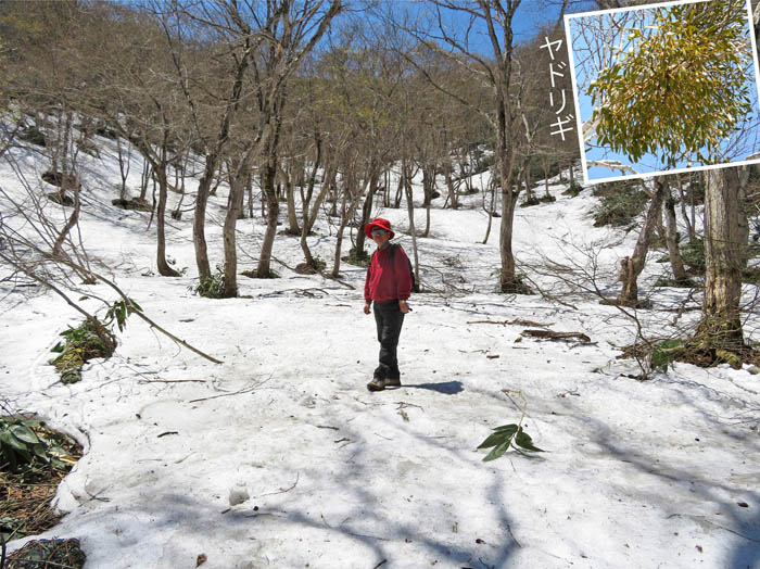 photo12雪の斜面