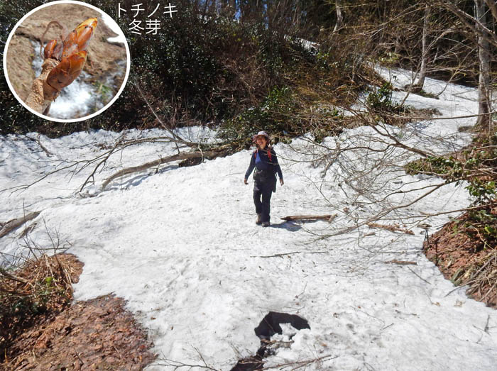 photo13雪で覆われた万坂峠への道
