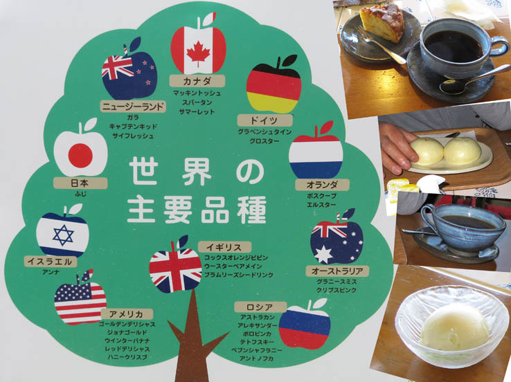 photo21アップルミュージアムで軽食
