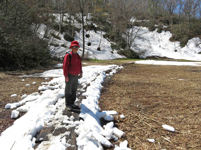 photo4木道に残る雪