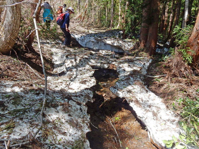 photo15雪が残る山道