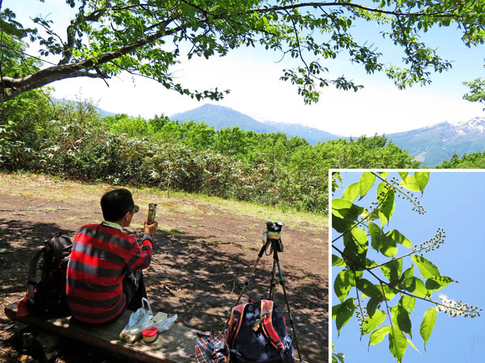 photo16山頂ウワミズザクラの下で：袴岳