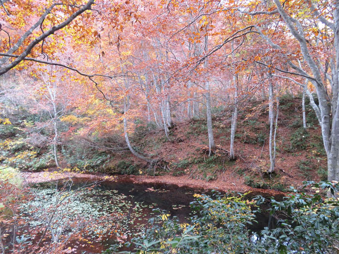 photo：熊ノ巣池：黒岩山