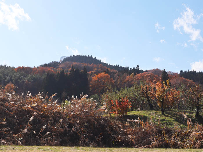 髻山