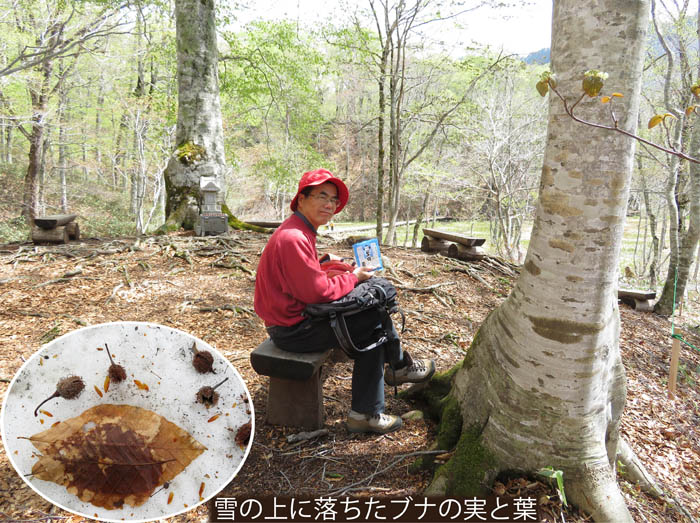 11今池を見下ろしながら休憩：奥裾花自然園