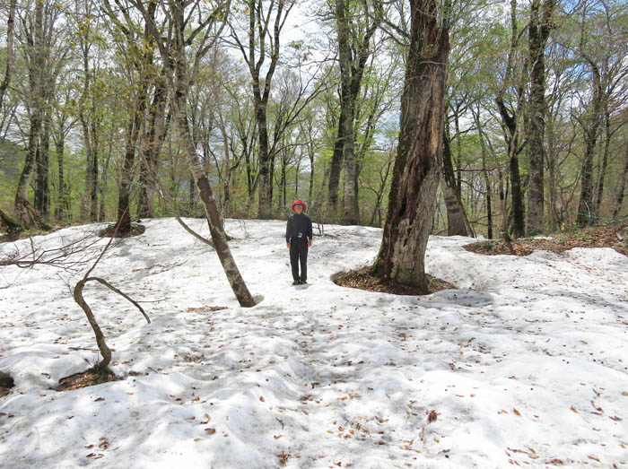 20雪の上を行く：奥裾花自然園