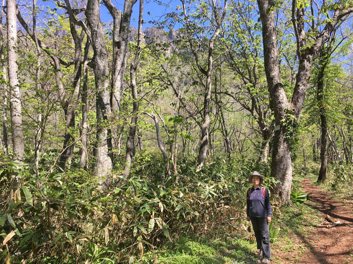18森の向こうに戸隠山