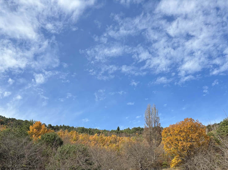 photo：地附山公園から：地附山