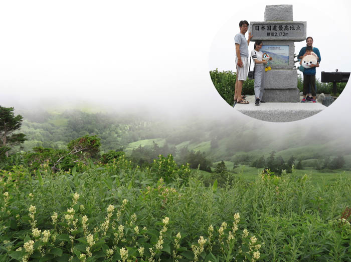 photo12霧が深くて真っ白だ