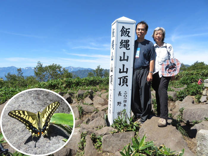写真11キアゲハ舞う飯縄山山頂