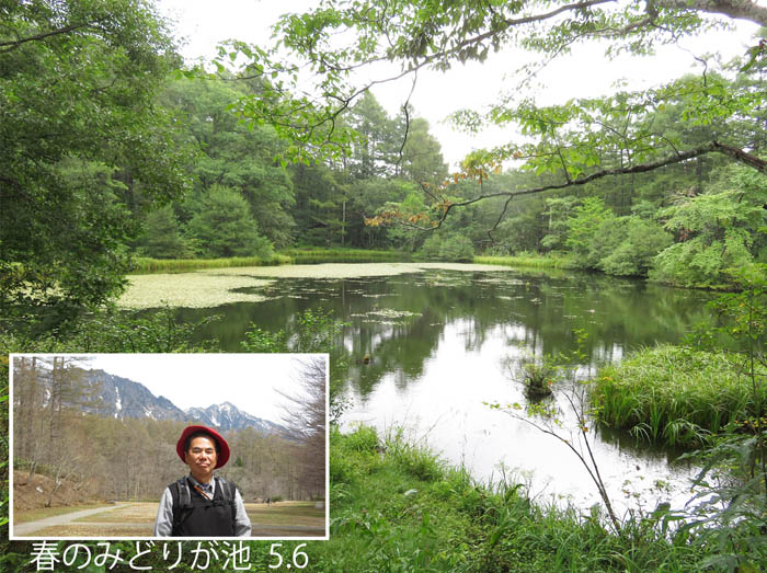 photo2緑一色のみどりが池