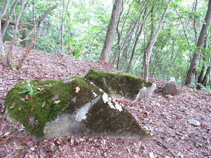 photo12北のピークの巨岩