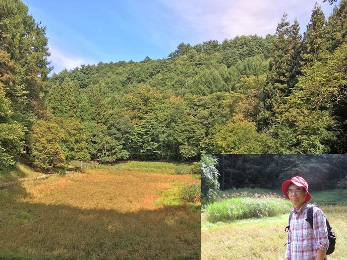 photo15乾いた浅間池