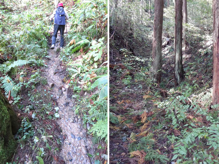 photo15水浸しの登山道