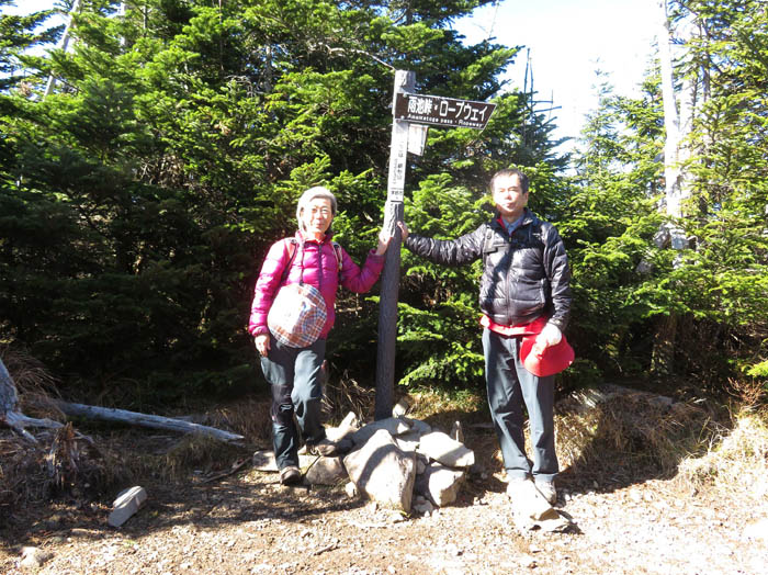 photo12縞枯山山頂