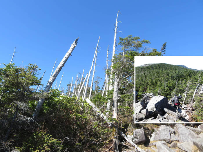 photo15展望台は巨岩の重なり