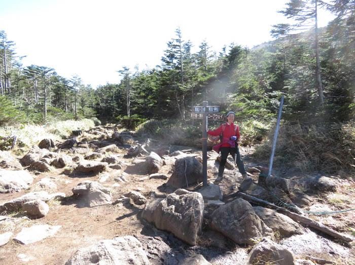 photo9ここから縞枯山へ登る