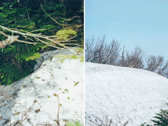 photo：北側登山道に多い雪渓：男体山