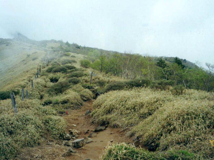 photo：丸山