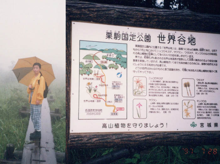 photo12世界谷地第１湿原にて