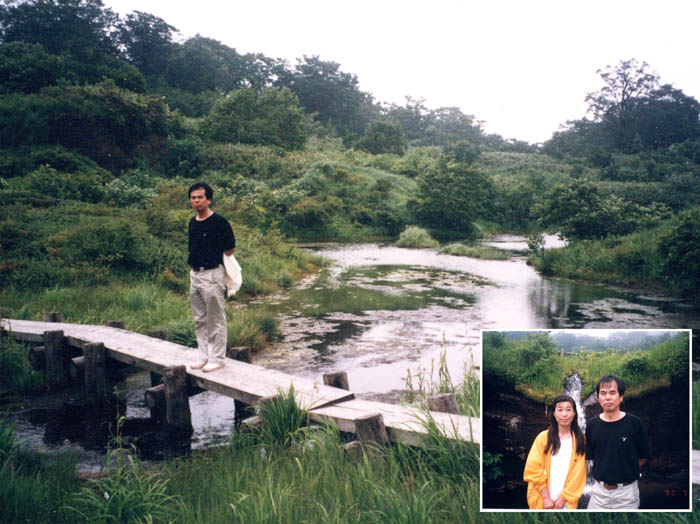 photo4須川湿原ツンドラ帯