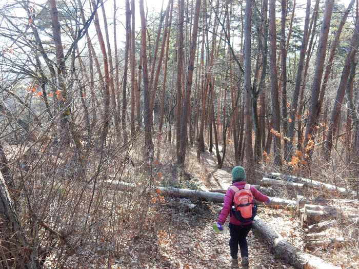 2有旅茶臼山からのくだり