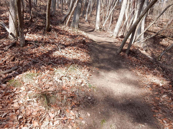 4掃いてある登山道