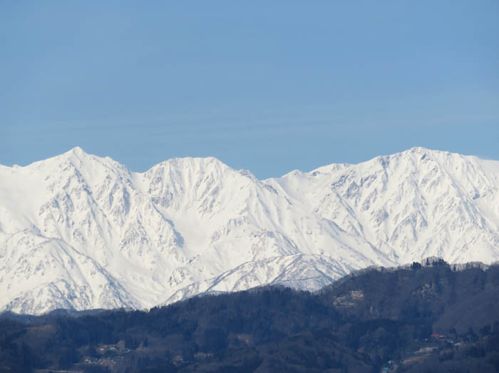 9真っ白な白馬(しろうま)三山